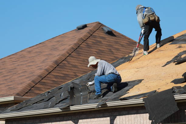 Best Roof Moss and Algae Removal  in Sammamish, WA